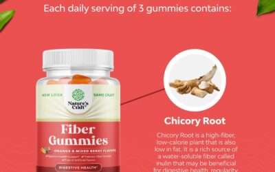 Tasty Prebiotic Fiber Gummies Review